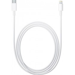 Câble APPLE Lightning vers USB-C 1m (MQGJ2ZM/A)